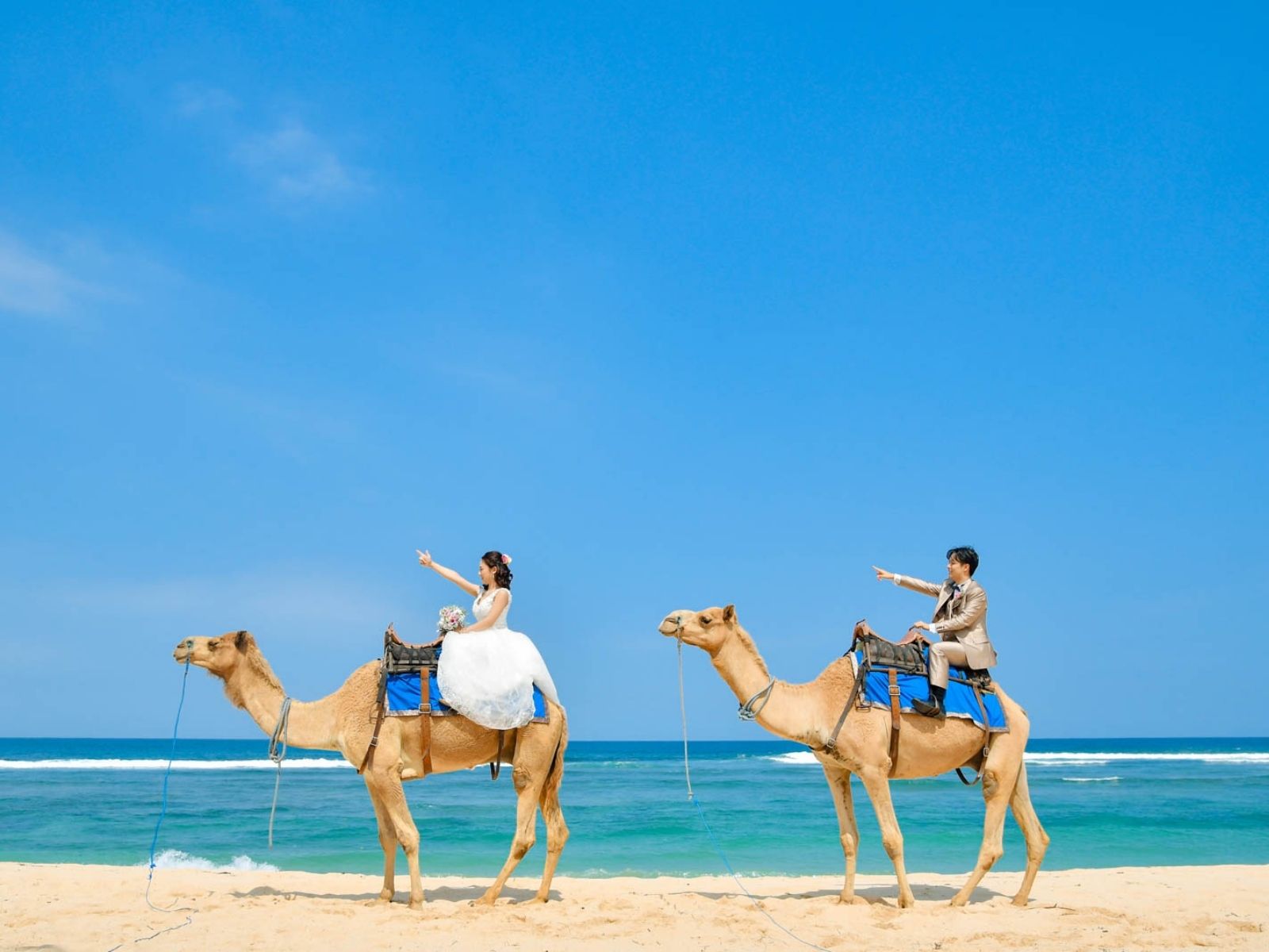 バリ島キャメルライドでフォトウェディング作例